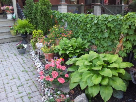A Hidden Gem Bed And Breakfast Уиндзор Екстериор снимка